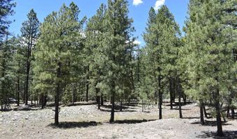 80 Ranch Rd, Bayfield, CO 81122