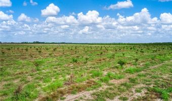 E Reading Drive, Avon Park, FL 33825