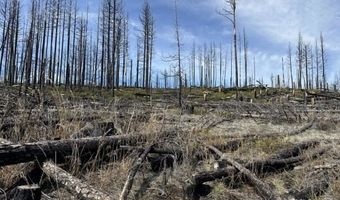 Hicks Rd, Bly, OR 97622