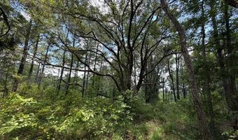 Mountain View Way, Bainbridge, GA 39819