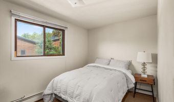 112 E Hillside Dr, Basalt, CO 81621