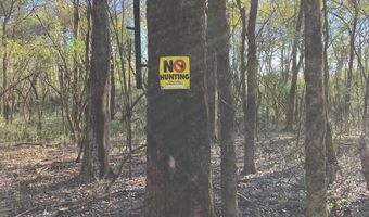 21 6 Holly Ave, Attalla, AL 35954