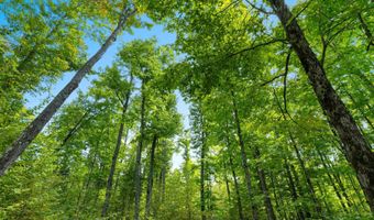 Double Bend Road, Argonne, WI 54511