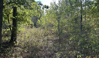 Tbd 7885 County Road 306 Pvt Drive-B, Ava, MO 65608