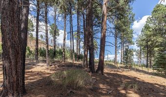 221 Vallecito Dr, Bayfield, CO 81122