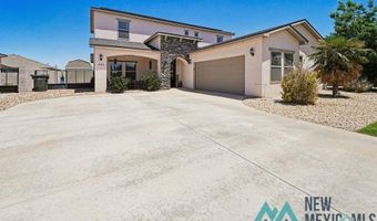 308 Baler Ln, Carlsbad, NM 88220