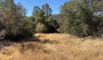 41902 Woodward Way, Ahwahnee, CA 93601