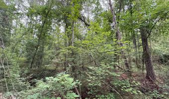 32477 Chapel Pine Drive Lot Cdt3, Albany, LA 70711