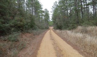 TBD Hwy. 29, Brooklyn, MS 39425