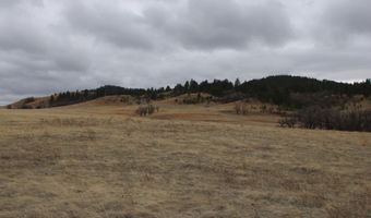 Tract 10 Lone Elk Ranch, Alva, WY 82711