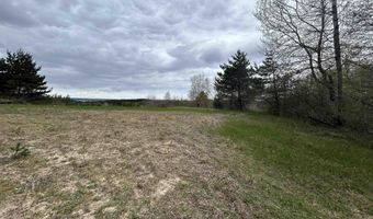 McPherson Road lot 11 & 12, Alden, MI 49612