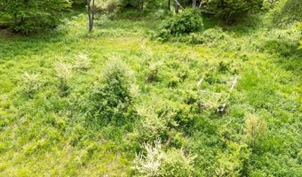 1361 Weaver Hollow Rd, Andes, NY 13731