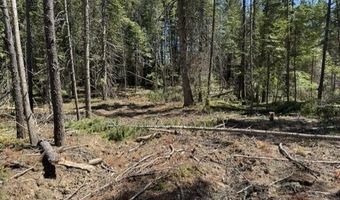 NKA Abundant Life Lot 2 Court, Athol, ID 83801