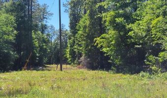 93 Acres Dell Rd, Bainbridge, GA 39819
