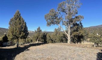 940 CR 973, Arboles, CO 81121