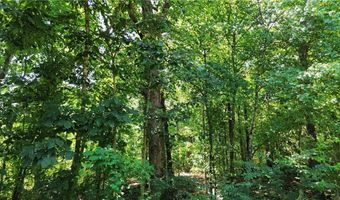 Eastleigh DR, Bella Vista, AR 72714