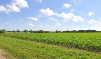 Thompson lot 32-43, Agua Dulce, TX 78593