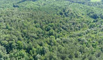 0 COUNTY ROAD 61 366.92 acres, Fruithurst, AL 36262