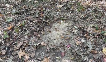 1 8 Miles Due South Down Anding Oil City Rd, Bentonia, MS 39040