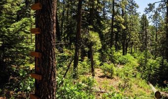 176 Big Timber Dr, Bayfield, CO 81122
