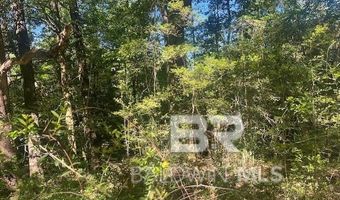 42507 Amelia Rd, Bay Minette, AL 36507