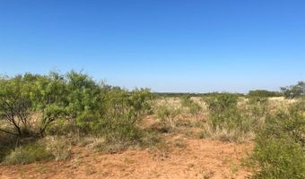 6525 E 180, Anson, TX 75901