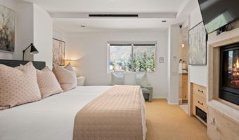 650 S Monarch St Unit 11, Aspen, CO 81611