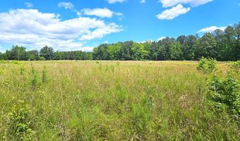 26 55 Acres Namozine Rd, Amelia Court House, VA 23002