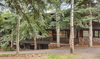 731 S Mill St 2C, Aspen, CO 81611