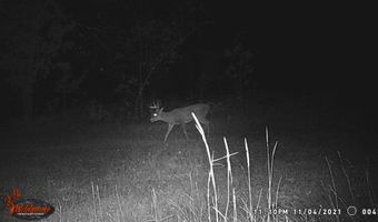 8752 HWY A, Almond, WI 54909