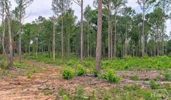 Wilson Lane, Arnoldsville, GA 30619