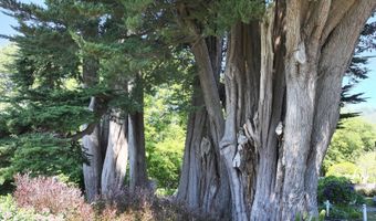 15954 SHORT Way, Brookings, OR 97415