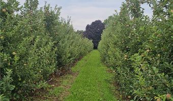 3120 Densmore Rd, Albion, NY 14411
