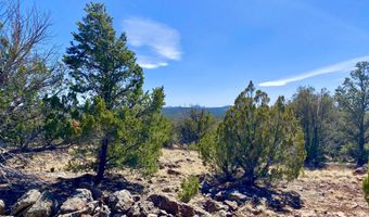 74 County Road 8056, Concho, AZ 85924