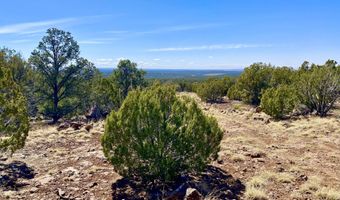 74 County Road 8056, Concho, AZ 85924