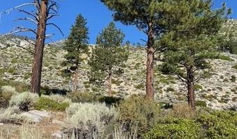 Kingsbury Grade, Gardnerville, NV 89460