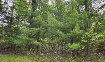 S Badger Lane lot 38, Arkdale, WI 54613