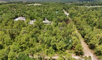 SW Nassau Ave, Arcadia, FL 34266