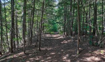 TBD The Meadows Road, Bartlett, NH 03812