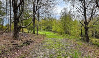State Route 28 lot # 10, Andes, NY 13731