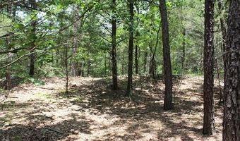 5 E 1909 Rd, Antlers, OK 74523