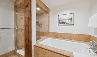 415 E Dean St Unit 48 Week 31, Aspen, CO 81611