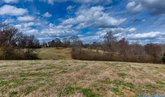 17 Acres County Road 656, Anderson, AL 35610