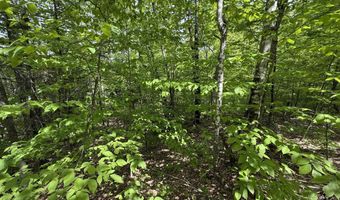 R6L9 Dickey Mills Road, Avon, ME 04966