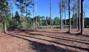 Jarvis Landing Road, Aurora, NC 27806