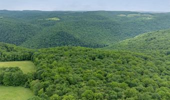 000 Bear Ridge Rd, Albright, WV 26519
