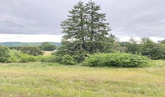 67640 NEVERSTILL Rd, Birkenfeld, OR 97016