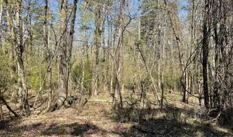 Lot 49 Costa Del Lago Lane, Hot Springs Village, AR 71909