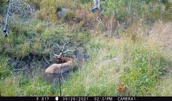 TBD Old Flowers Road, Bellvue, CO 80512