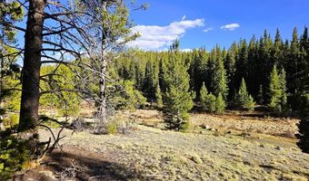 PCS # 7765 & 12057 Rollies Trail lot 0, Alma, CO 80420